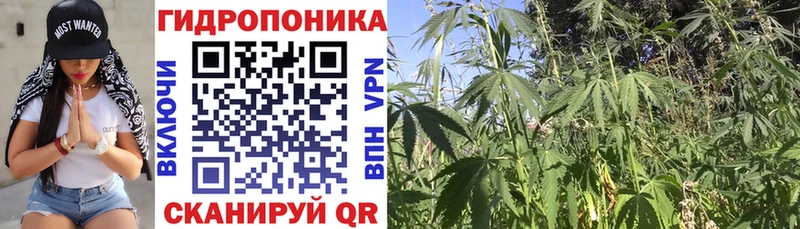 Наркошоп купить Альфа ПВП  Мефедрон  ГАШ  МАРИХУАНА  COCAIN  Слюдянка