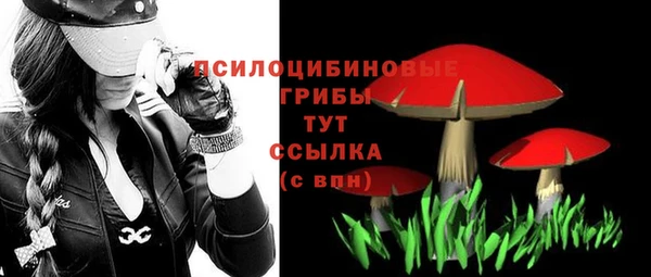 тгк Хадыженск