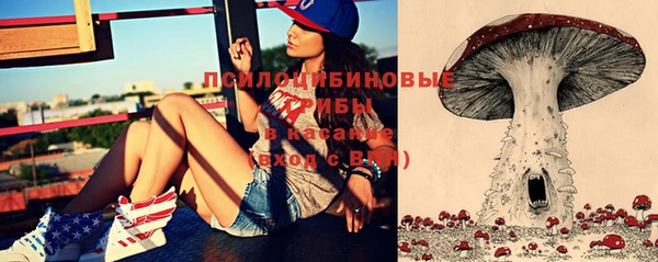 ГАЛЛЮЦИНОГЕННЫЕ ГРИБЫ Усмань